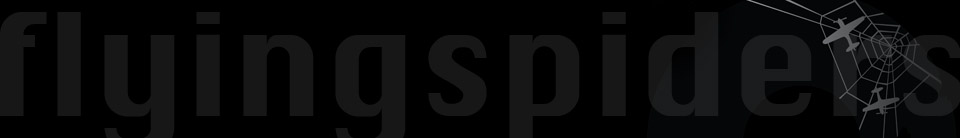 The Flying Spiders logo